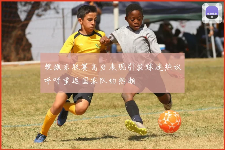 樊振东联赛高分表现引发球迷热议呼吁重返国家队的热潮